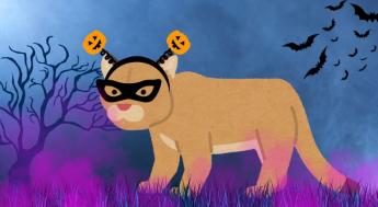 Cartoon cougar wearing mask and pumpkin ears in spooky background