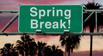 spring break road sign in front of palm trees