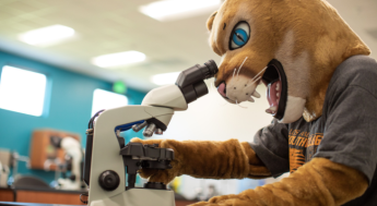 lasc cougar mascot looks inside science equipment