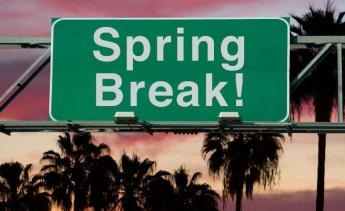 spring break road sign in front of palm trees