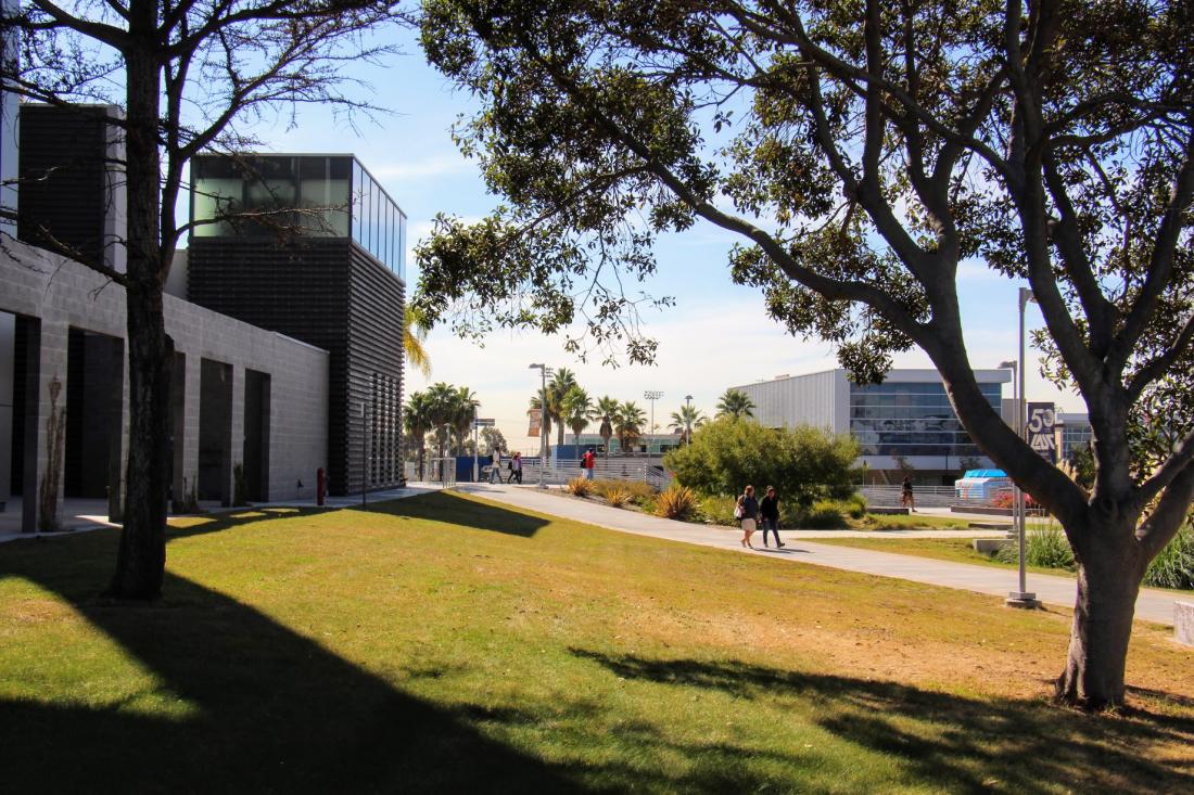 Students Walking on Campus