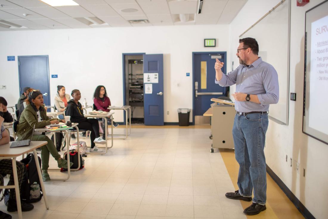Professor Teaching in Class